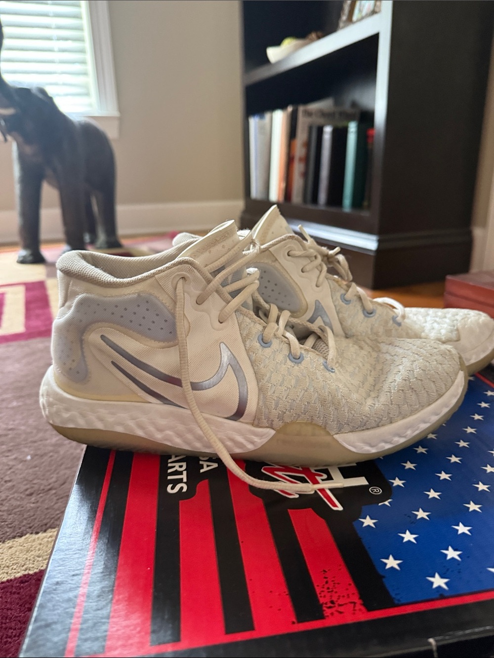 Nike White and Light Blue High-Top Men's Sneakers